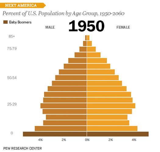 Возрастная пирамида США